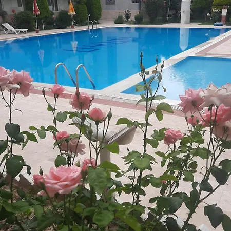 Hotel Uyum 3*